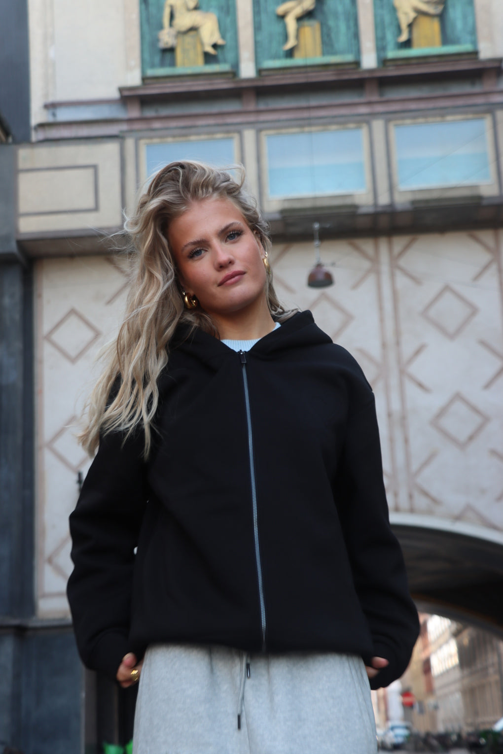 Cloud Zip Hoodie - Sort